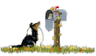 Mail: lesley@oakpondshelties.com?subject=Shelties